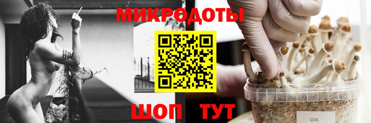даркнет сайт  Вход с VPN  Коркино  Псилоцибиновые грибы Psilocybe 